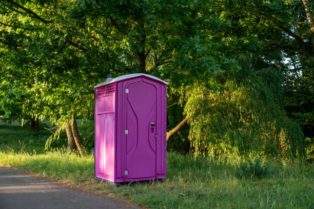 Best Porta potty rental for festivals  in Lake Barrington, IL